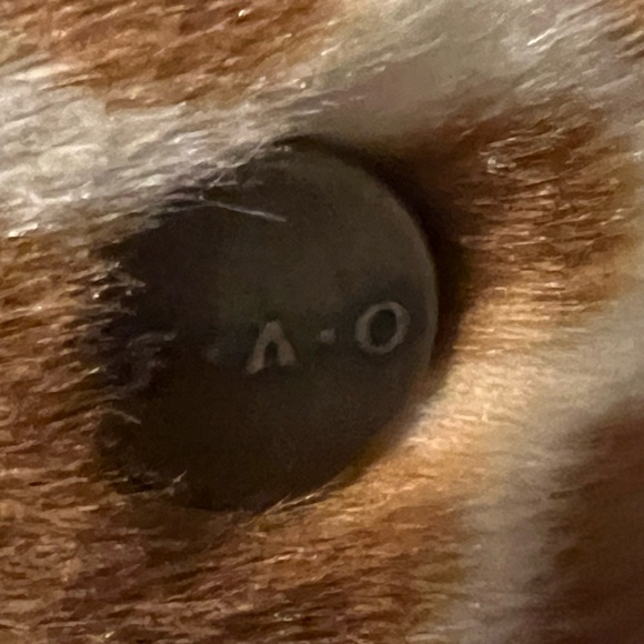 FAO Schwarz giraffe, plush - Picture 6 of 8